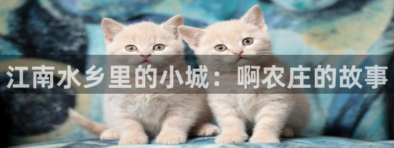 天顺娱乐主管微信
