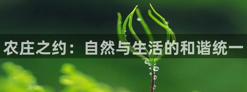 天顺娱乐寸v96303