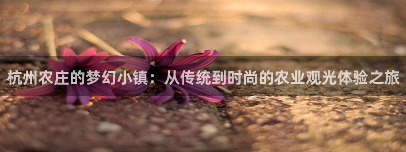 天顺娱乐木且判p29999