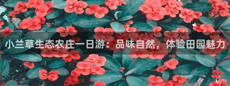 娱乐聊天顺口溜搞笑版