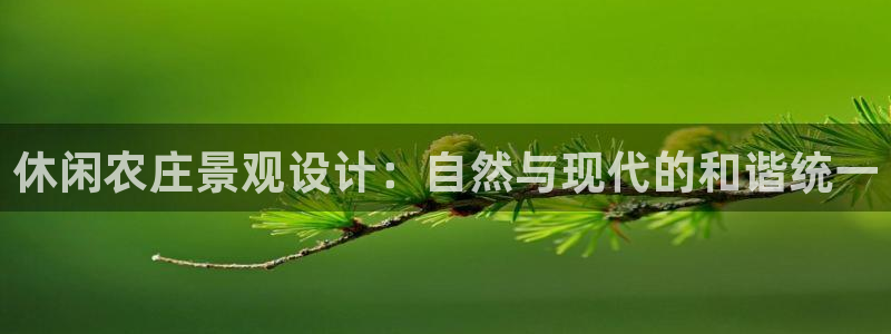 天顺娱乐总代理是谁