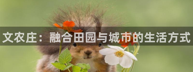 天顺休闲娱乐中心怎么样