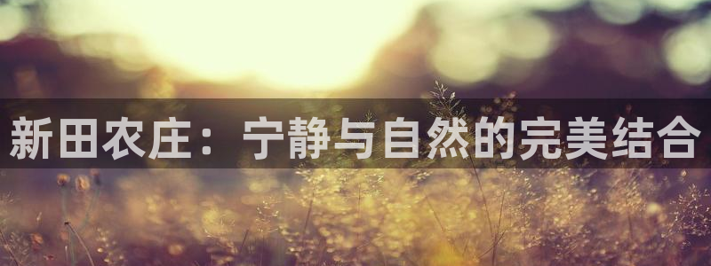 天顺娱乐app下载