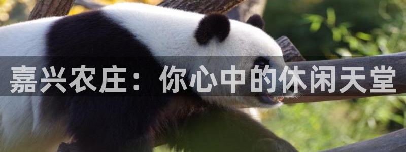上海汇天顺娱乐公司