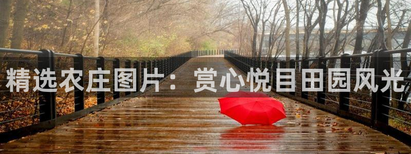 天顺娱乐页943994