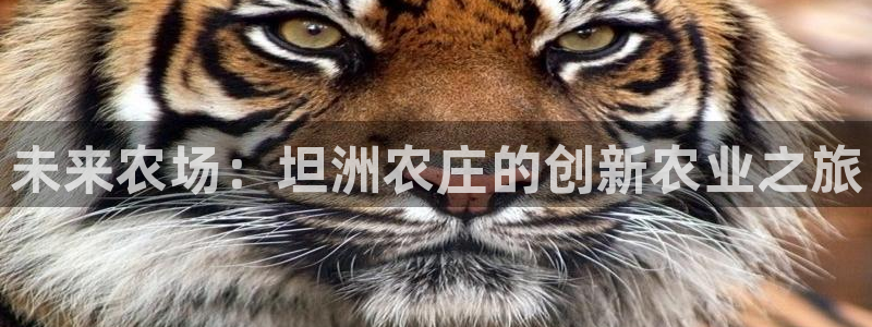 天顺娱乐举举p官22650