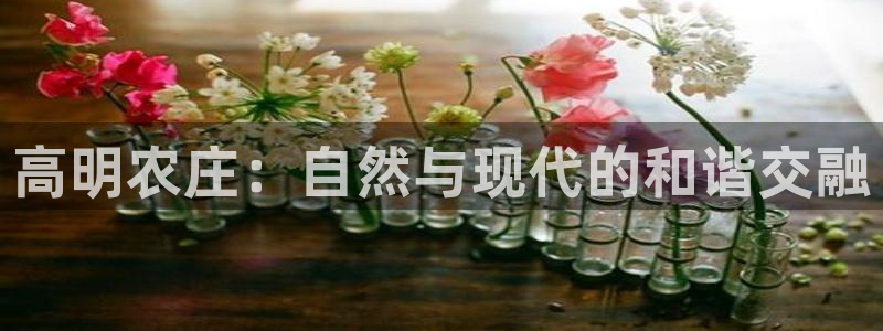 天顺娱乐窃33300j