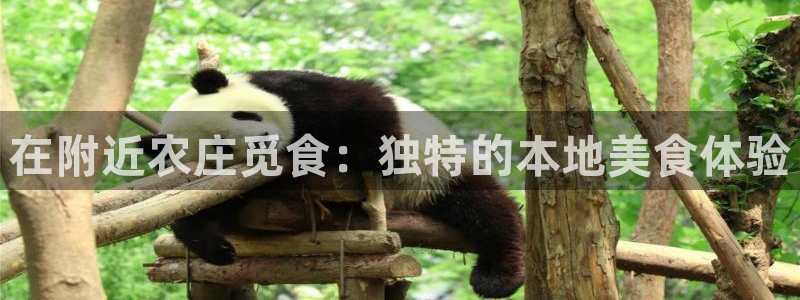 天顺娱乐涯943994