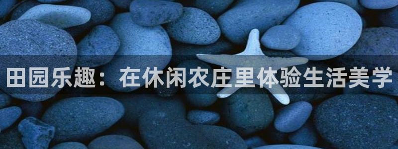 天顺娱乐的挂机宝