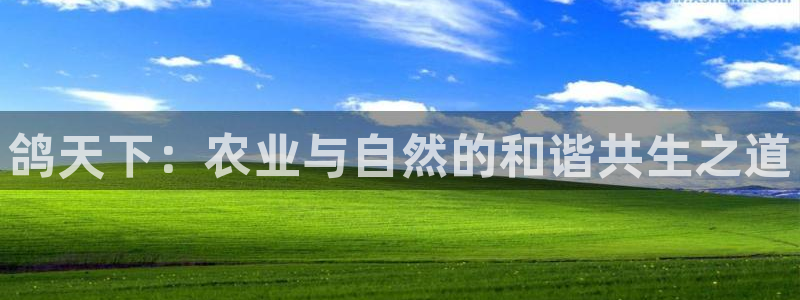 天顺娱乐 负t责任285580
