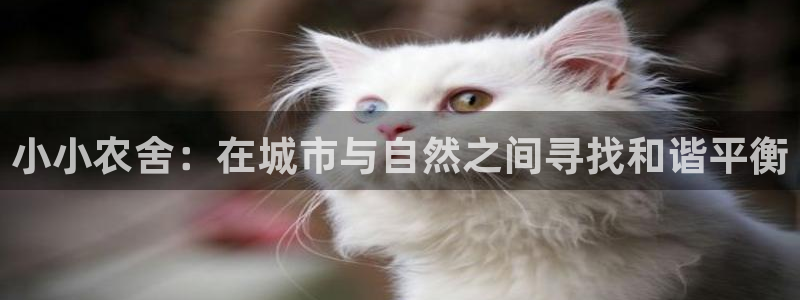 天顺娱乐塘33300j