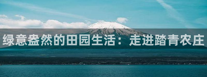 天顺娱乐主管年收入