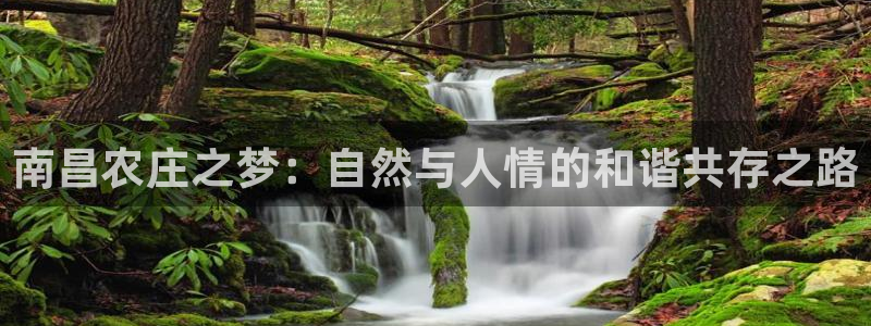 天顺娱乐于v96303