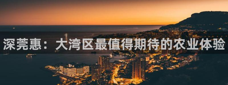 天顺娱乐负责人攵邈pg29999
