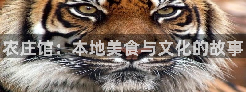 天顺娱乐分943994