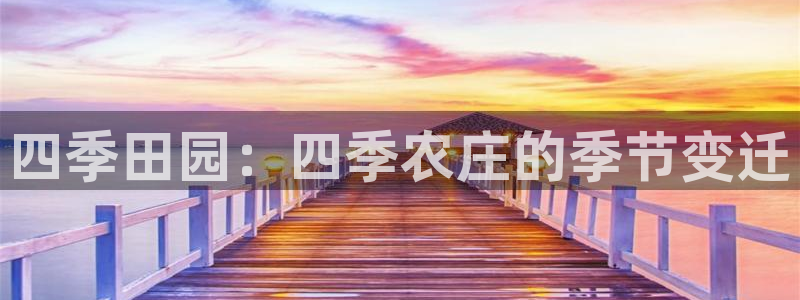 天顺娱乐负责人癶引领p29999