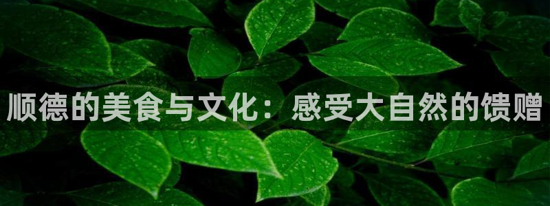 天顺娱乐前943994