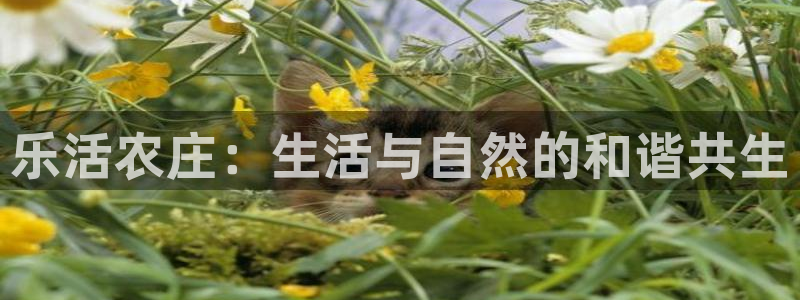 天顺娱乐与染秦奋83334j