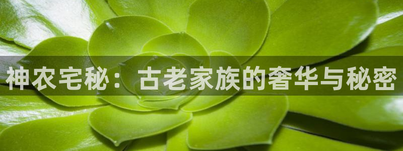 天顺娱乐阙名p官29999