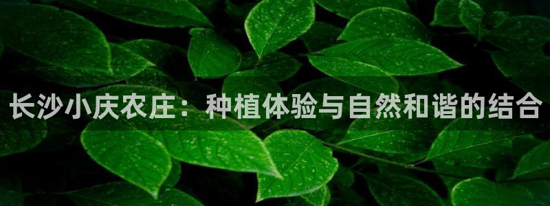 天顺娱乐专问秦奋83334j