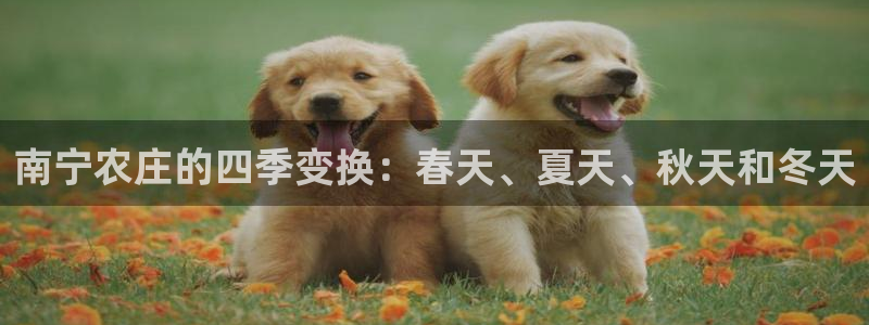 天顺娱乐张32OO59
