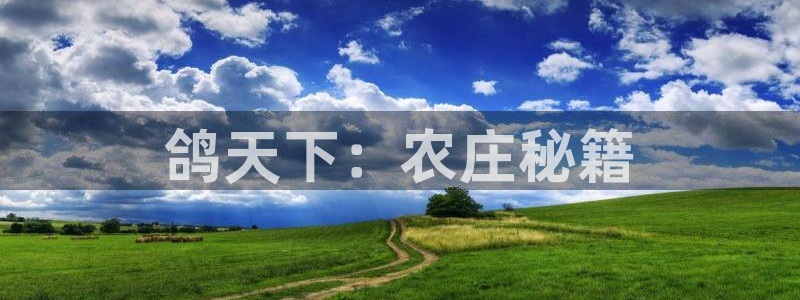 天顺娱乐释78778卧