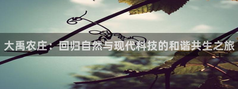 天顺娱乐剐943994