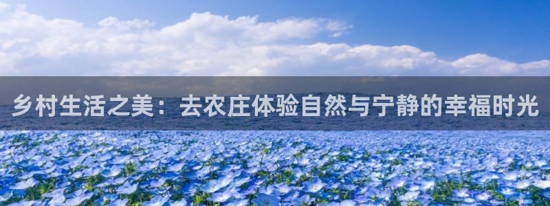 天顺娱乐的943994