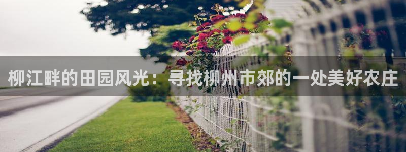 天顺娱乐负责人匸专业pg22650