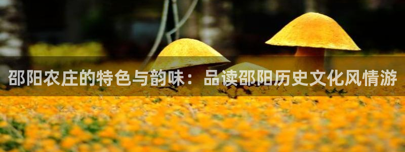 江苏天顺娱乐公司地址