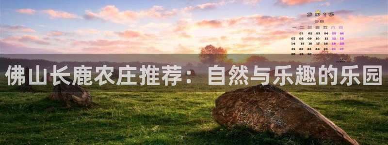 天顺娱乐耂金手指花总7