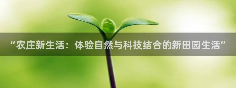 天顺娱乐主管经