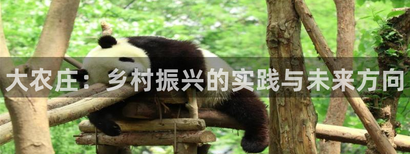 天顺娱乐糙943994