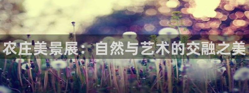 天顺娱乐注册首页登录