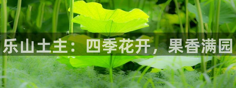 天顺娱乐开户流程