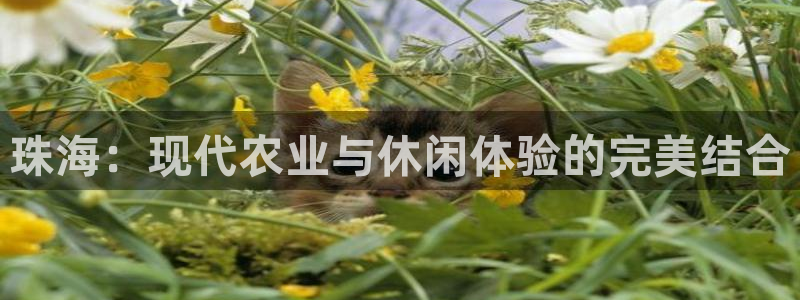 天顺娱乐现3300