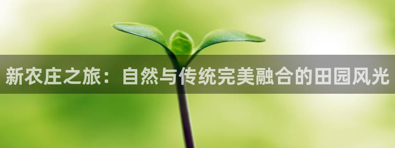 天顺国际娱乐会所现状