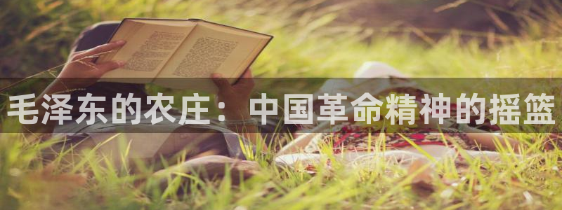 天顺娱乐找超越qv382223