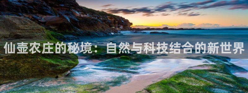 天顺娱乐主管工资多少