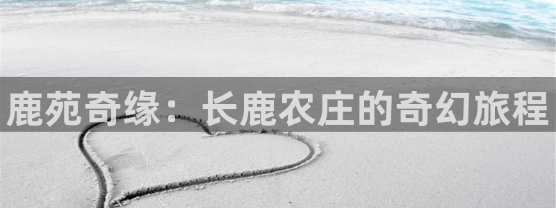 天顺娱乐负责人矛动p29999