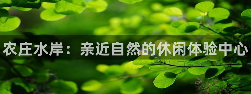 瑞丽市天顺娱乐会所法人