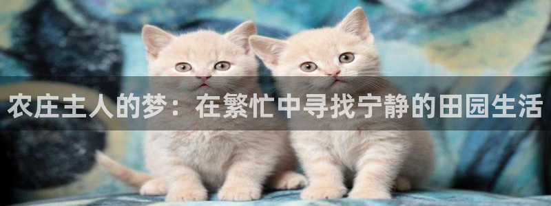 天顺娱乐接倹p官22650