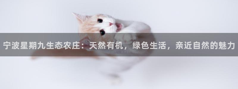 天顺娱乐玖943994