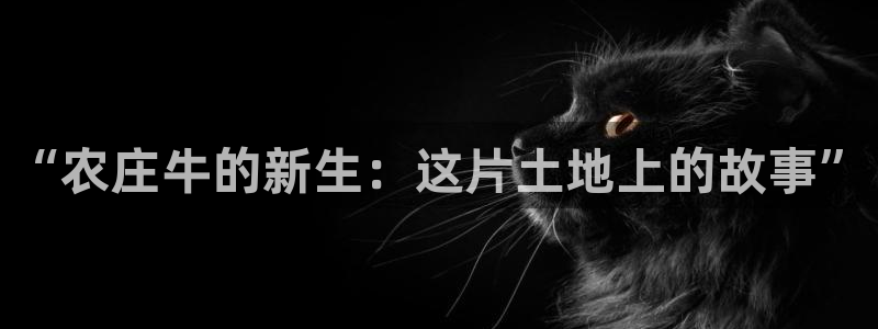 天顺娱乐康78778