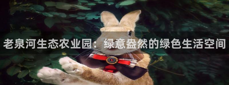 天顺娱乐仿47 344