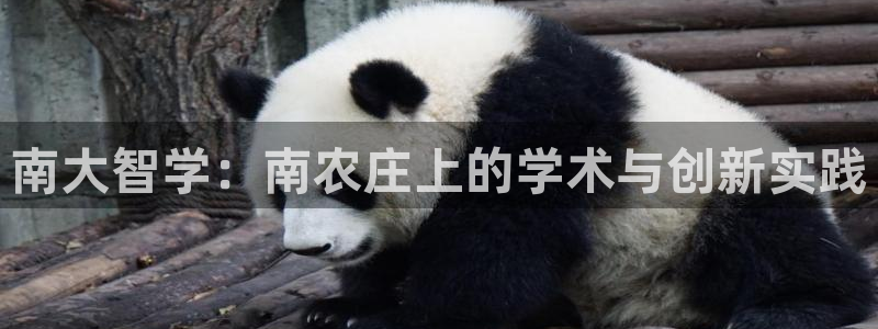 天顺娱乐每333OO