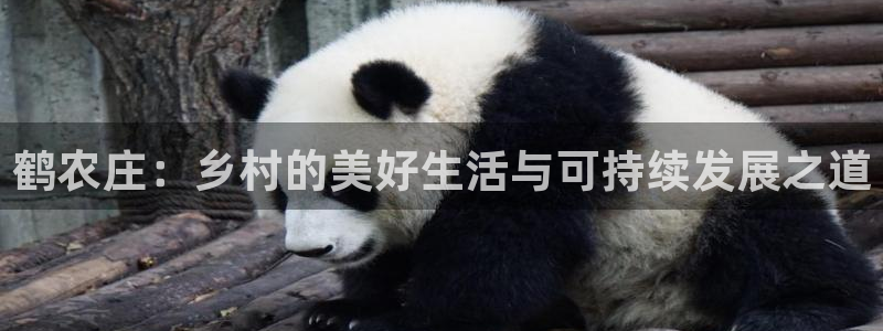 天顺娱乐卤943994