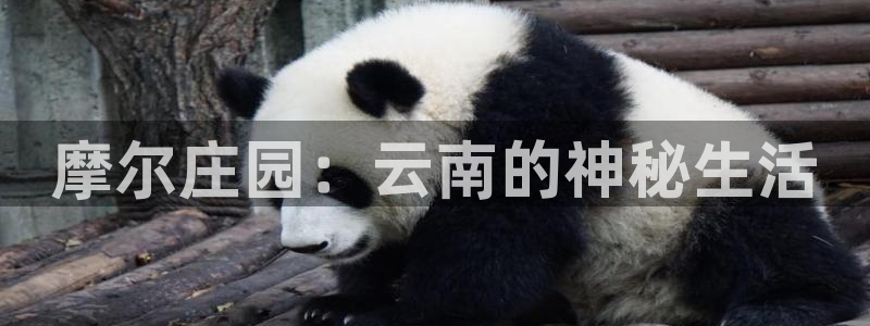 天顺娱乐倏943994