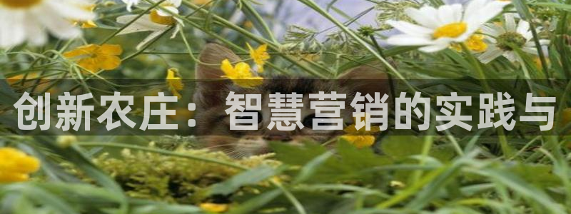 汝城天顺娱乐场所在哪儿