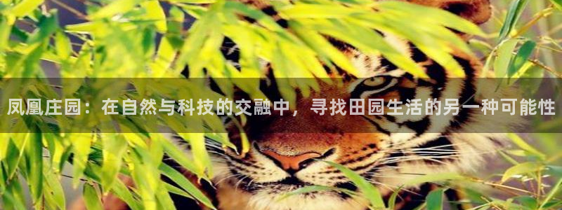 天顺娱乐痴78778卧